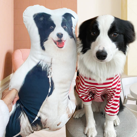 Custom Pet Shaped Pillow that Look Like your Pet - ThePetPillow - The Pet Pillow