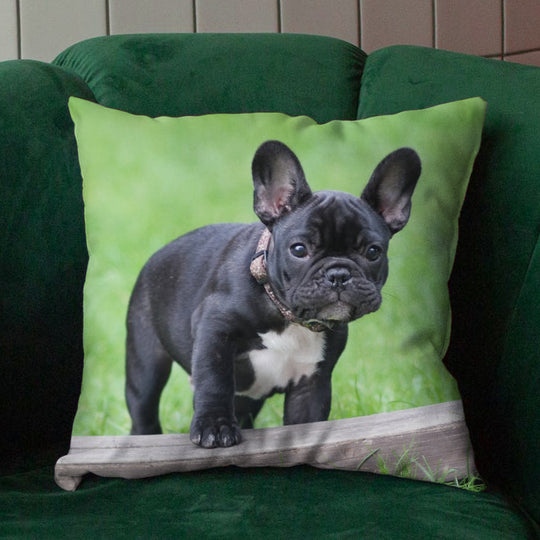Pet Photo Custom Square Pillow from Your Orignal Picture - The Pet Pillow