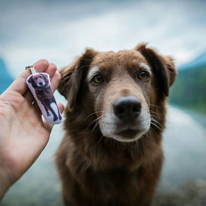 Custom Pet Photo Small Pillow Keychain - The Pet Pillow