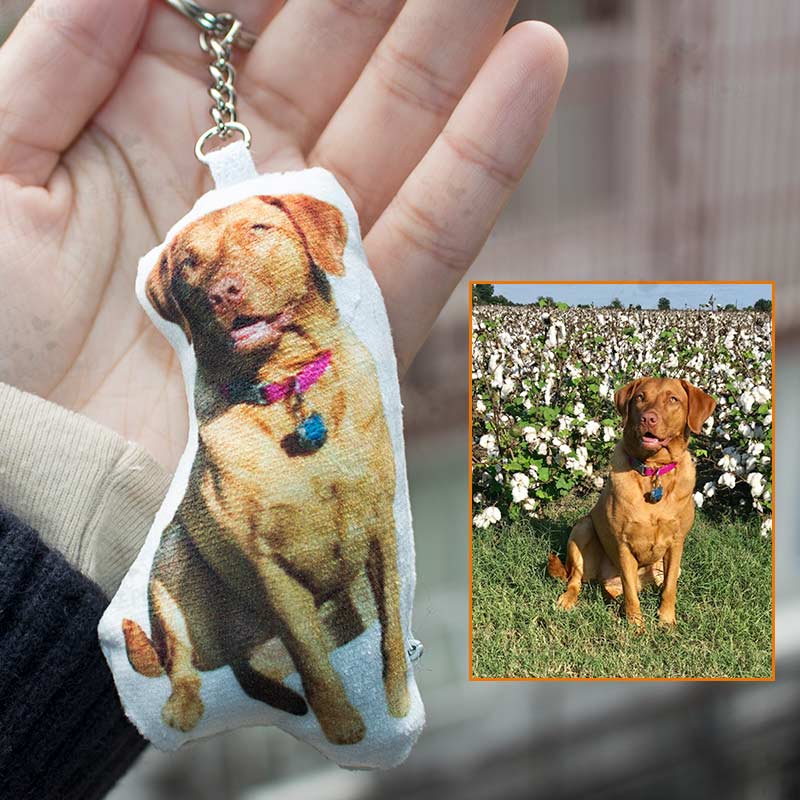 Custom Pet Photo Small Pillow Keychain - The Pet Pillow