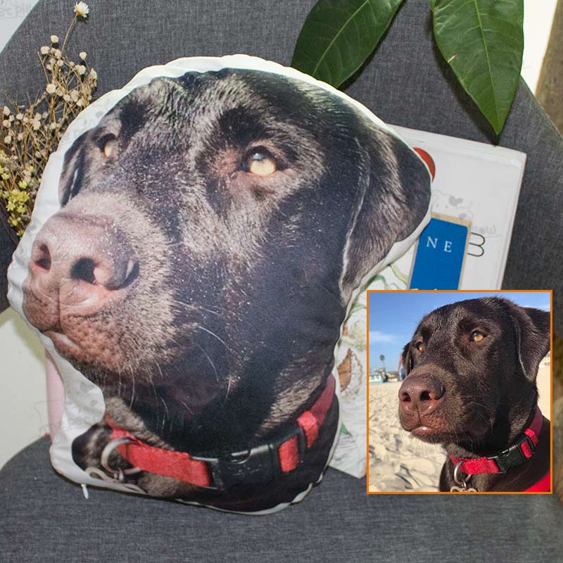 Custom Pet Face Shaped Pillow from Your Pet Photos, Customized Pet Head Pillows - The Pet Pillow