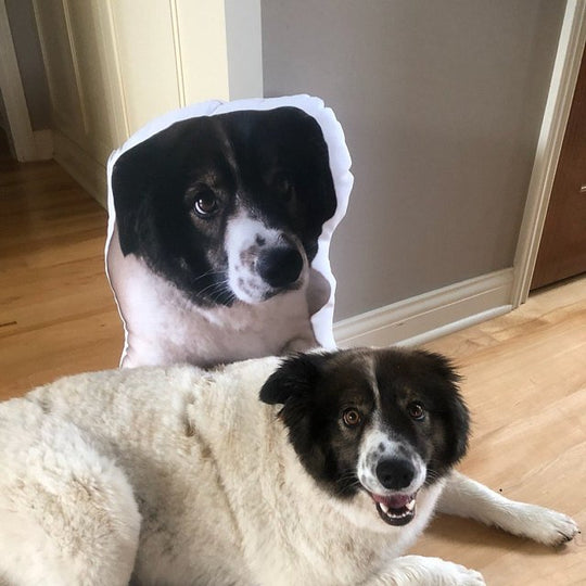 Custom Pet Shaped Pillow that Look Like your Pet - ThePetPillow - The Pet Pillow