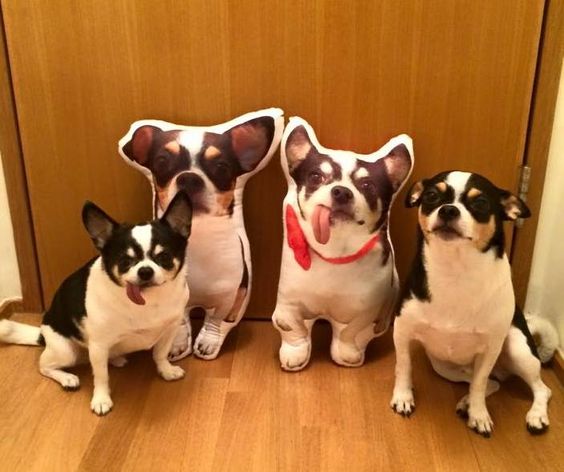 Custom Pet Shaped Pillow that Look Like your Pet - ThePetPillow - The Pet Pillow