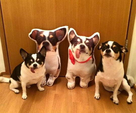 Custom Pet Shaped Pillow that Look Like your Pet - ThePetPillow - The Pet Pillow
